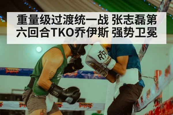 Zhang Zhilei boxing